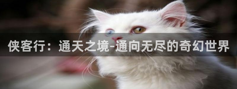 某天成为公主奇漫屋漫画：侠客行：通天之境-通向无尽的奇幻世界