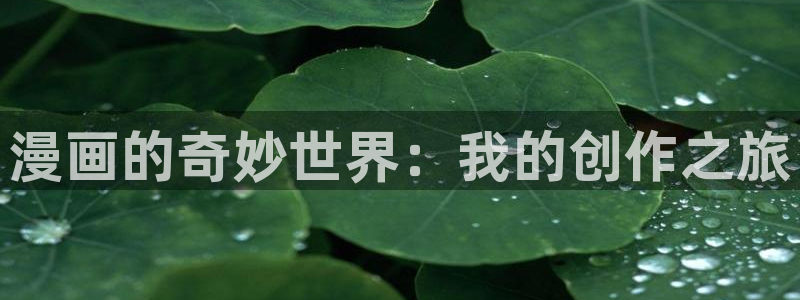 漫画免费看奇漫屋：漫画的奇妙世界：我的创作之旅